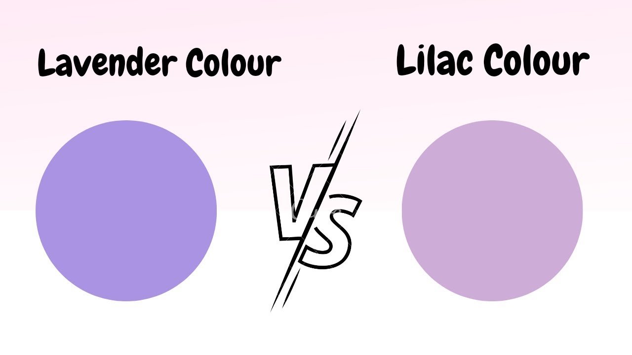 color:cckmvfcmc3m= lavender and Lilac color