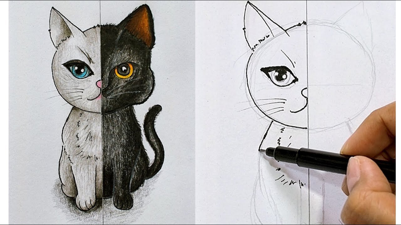 drawing:a4z_-ymtkr8= cat