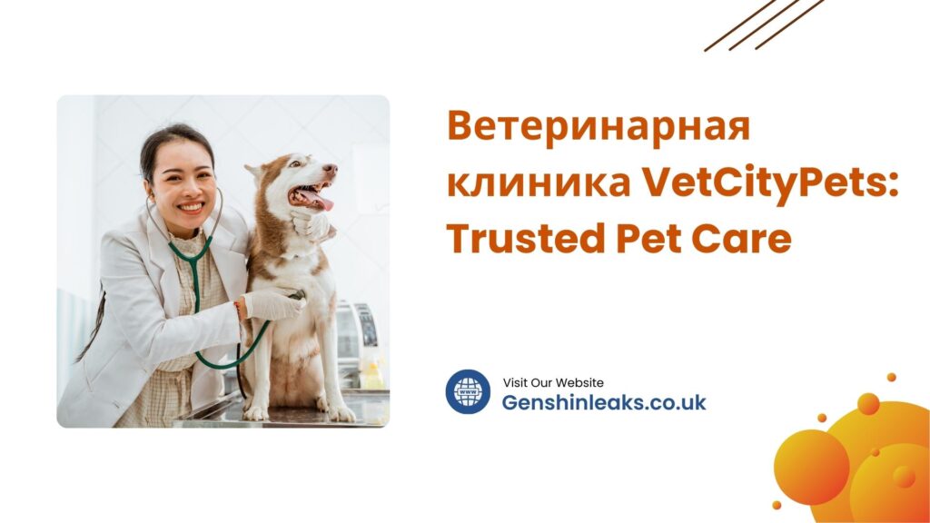 Ветеринарная клиника VetCityPets