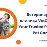 Ветеринарная клиника VetCityPets