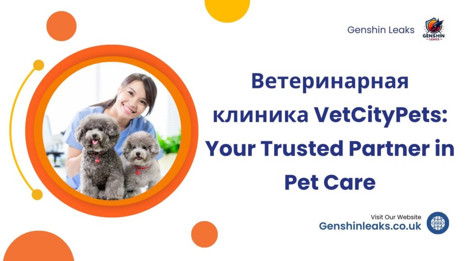 Ветеринарная клиника VetCityPets