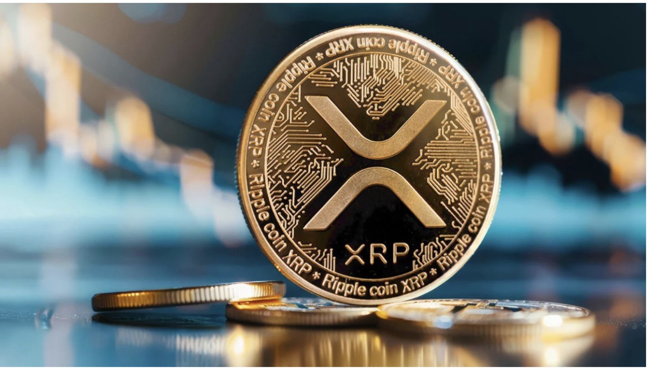 What Is Crypto30x.com and How Does It Work?