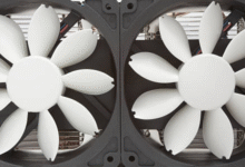 Fan