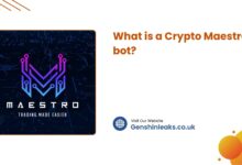 What is a Crypto Maestro bot?