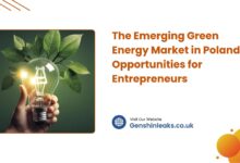 The Emerging Green Energy Market in Poland
