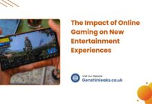The Impact of Online Gaming on New Entertainment Experiences