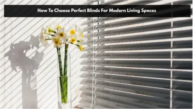 How To Choose Perfect Blinds For Modern Living Spaces